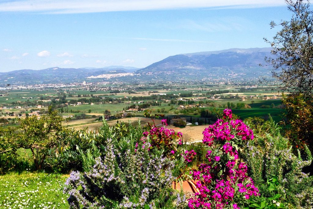 LA STRUTTURA Gallery (4)