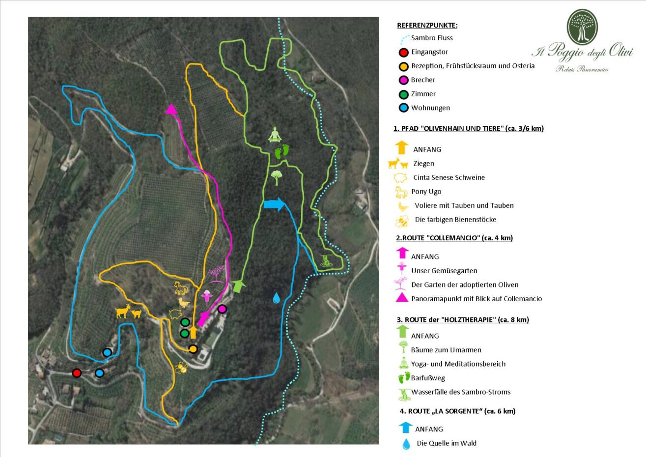 Mappa percorsi Poggio 2022 TED